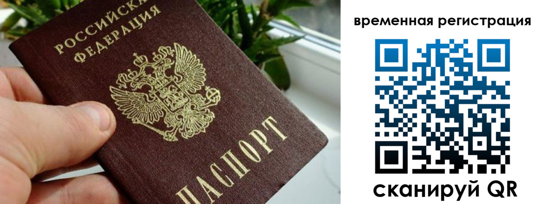 прописка поиск в Владимирской области